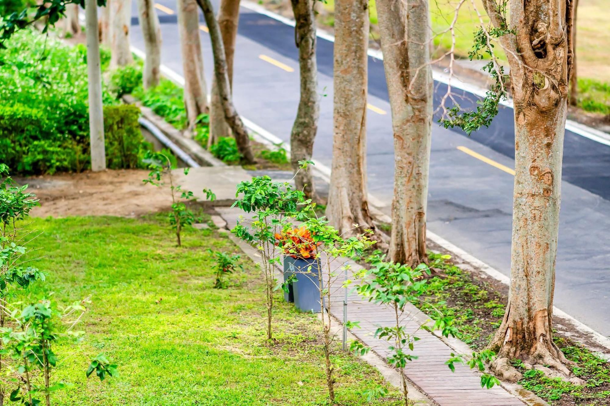 Dream Field Apartment Luye Exterior photo
